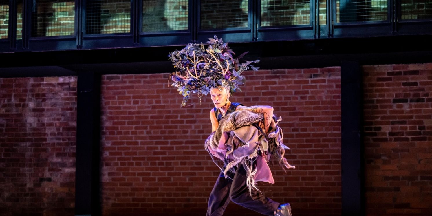 Review: EMILYN CLAID, UNTITLED, The Place  Image