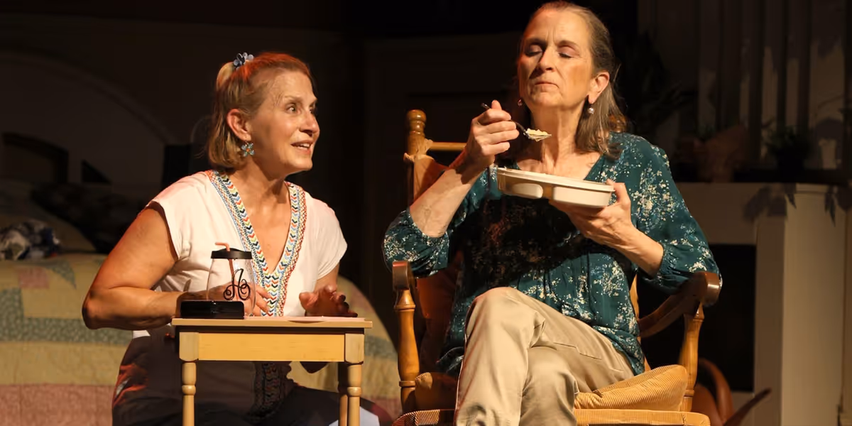 Review: Stray Dog Theatre Has A Senior Moment With The Hilarious Ripcord