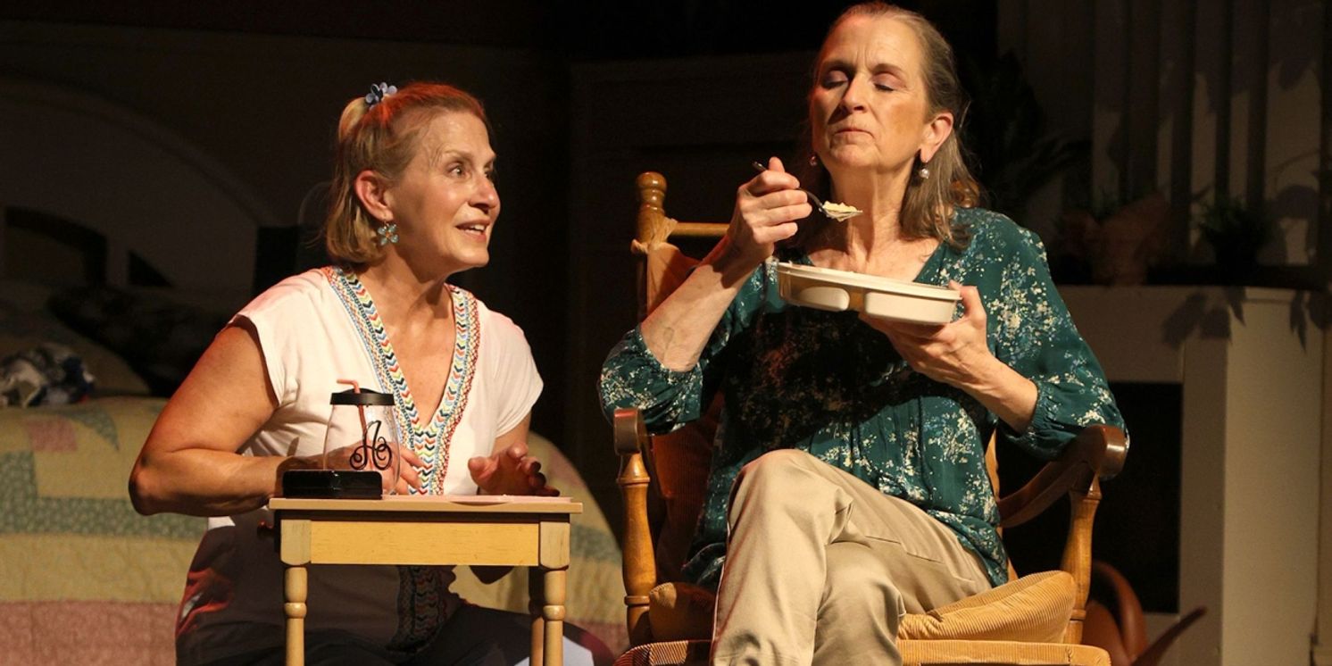 Review: Stray Dog Theatre Has A Senior Moment With The Hilarious Ripcord  Image