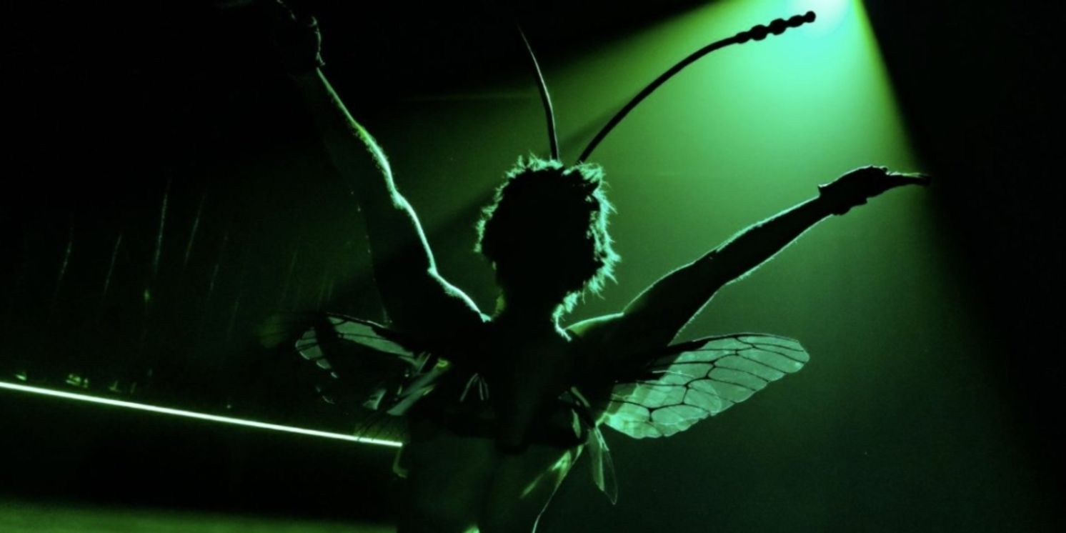 Review Roundup: INVASIVE SPECIES Opens at King's Head Theatre  Image