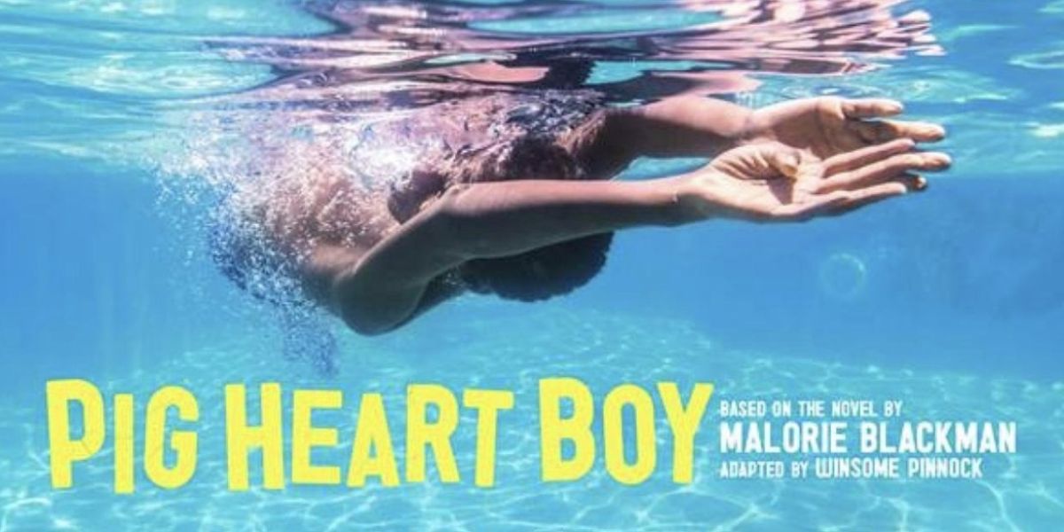 Review Roundup: PIG HEART BOY at The Unicorn Theatre