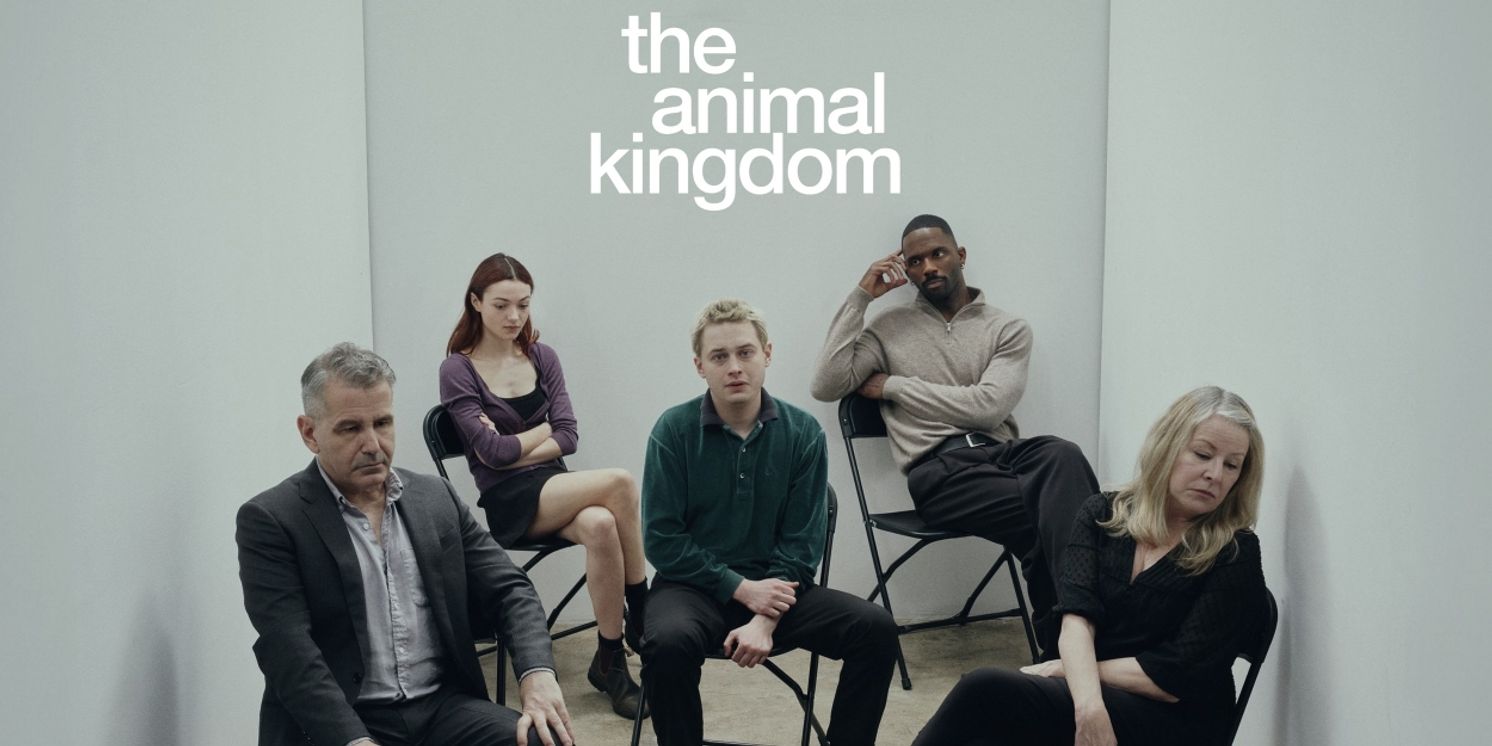 Review Roundup: Ruby Thomas' THE ANIMAL KINGDOM  Image