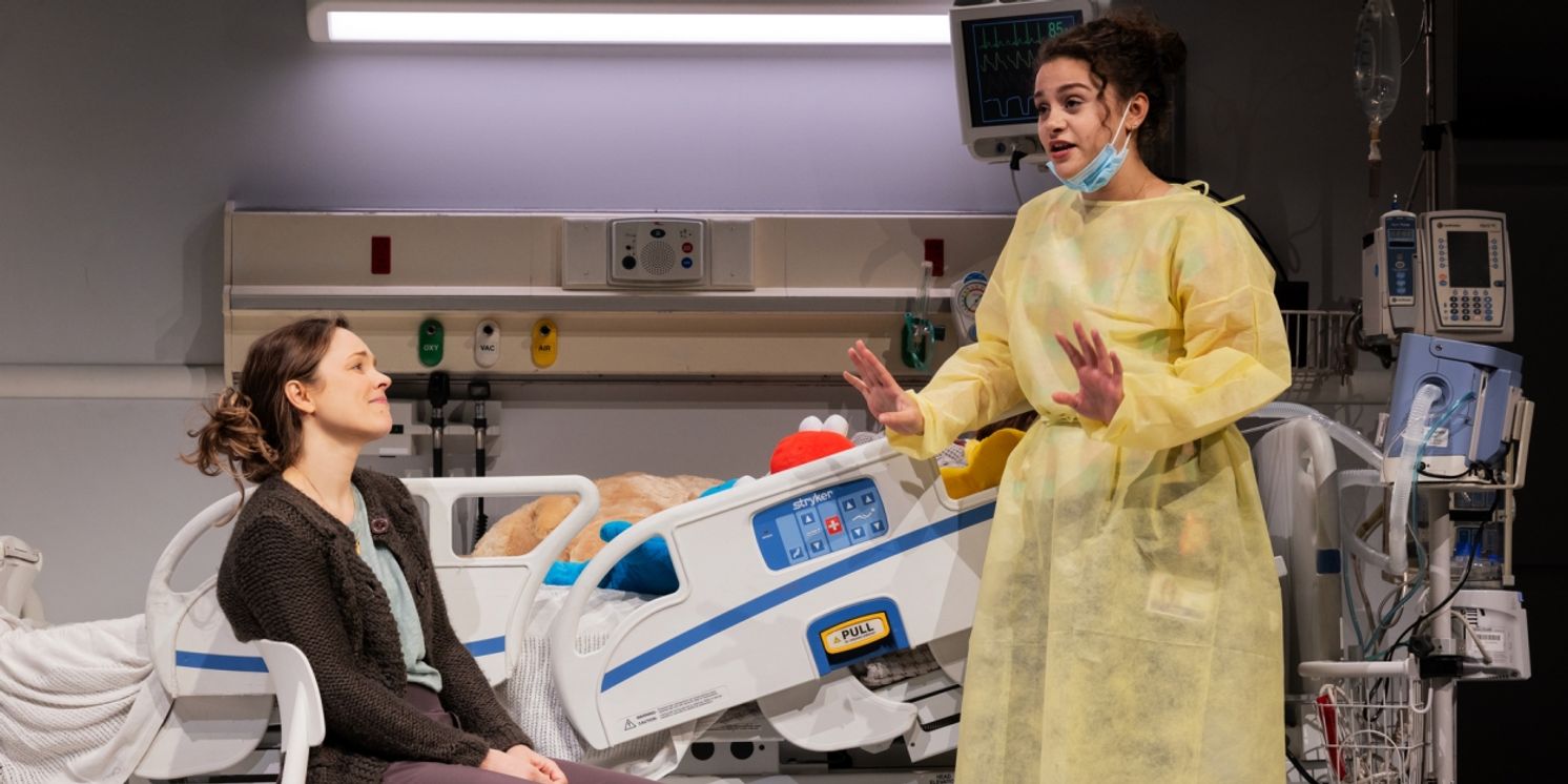 Review Roundup: Rachel McAdams Stars In MARY JANE Opening Tonight on Broadway  Image