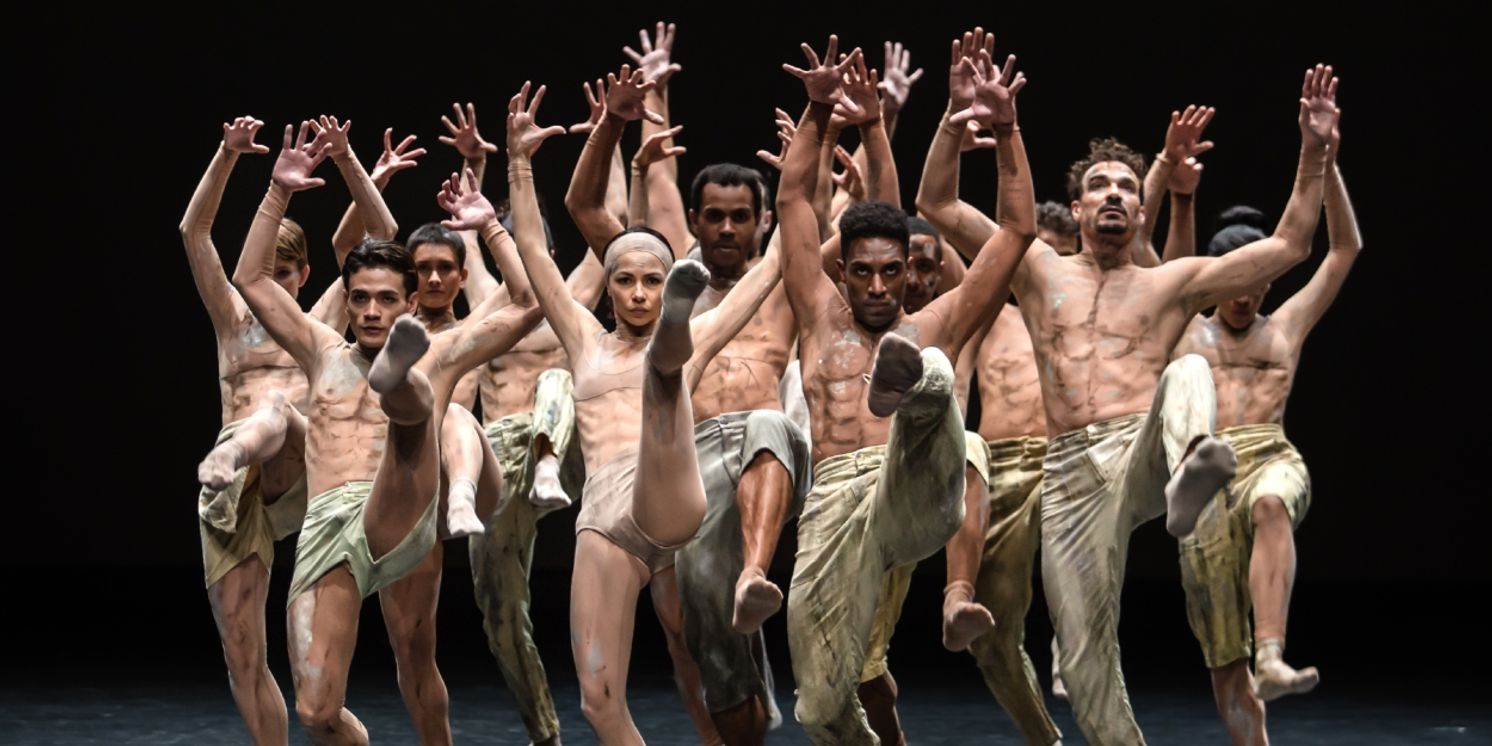 Review: SÃO PAULO DANCE COMPANY, Sadler's Wells  Image