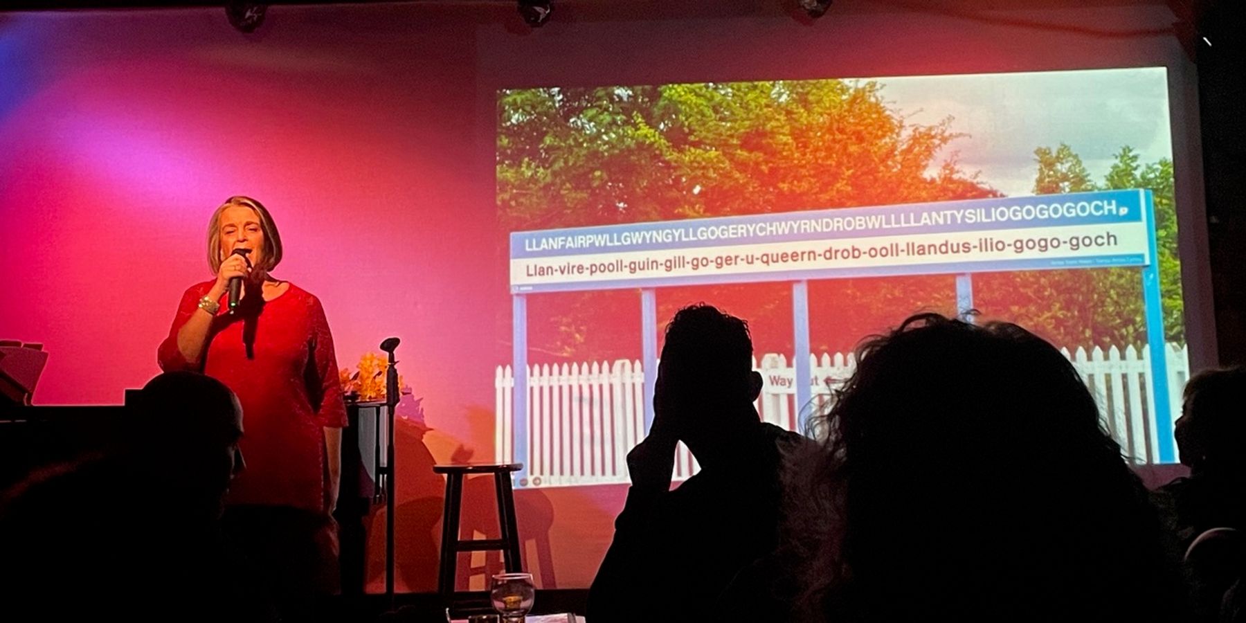 Review: Sarah Carson Celebrates Her Heritage In A WELCOME IN THE HILLSIDE at Don't Tell Mama