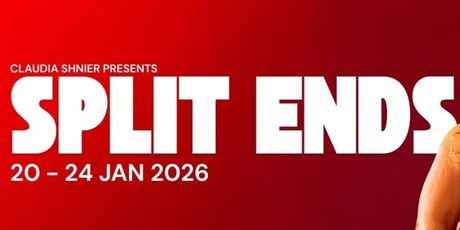 Review: SPLIT ENDS the trauma of obsession, control and loss Photo