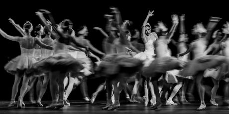 Review/Photos: SWAN LAKE at Academy Of Music Photo