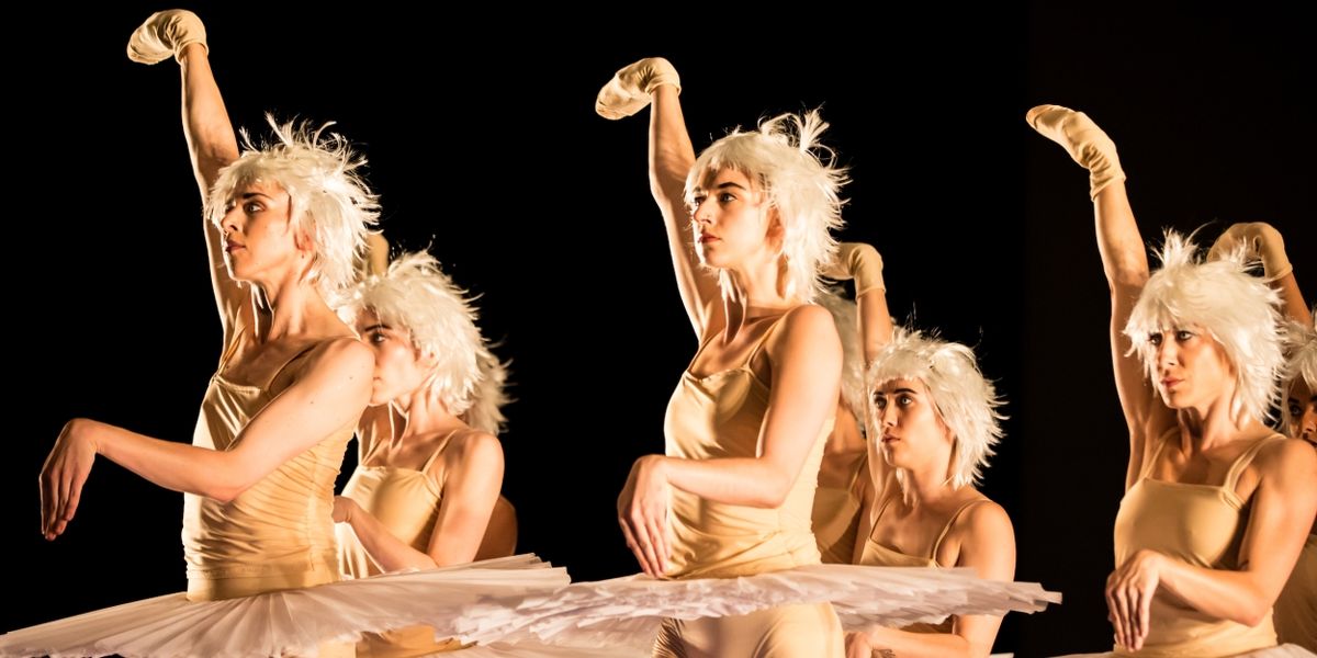 Review: SWAN LAKES AND MINUS 16 at Harbourfront Centre