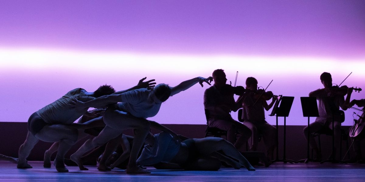 Review: SYDNEY DANCE COMPANY: IMPERMANENCE at The Kennedy Center