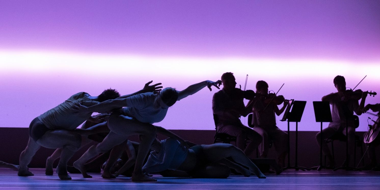 Review: SYDNEY DANCE COMPANY: IMPERMANENCE at The Kennedy Center  Image