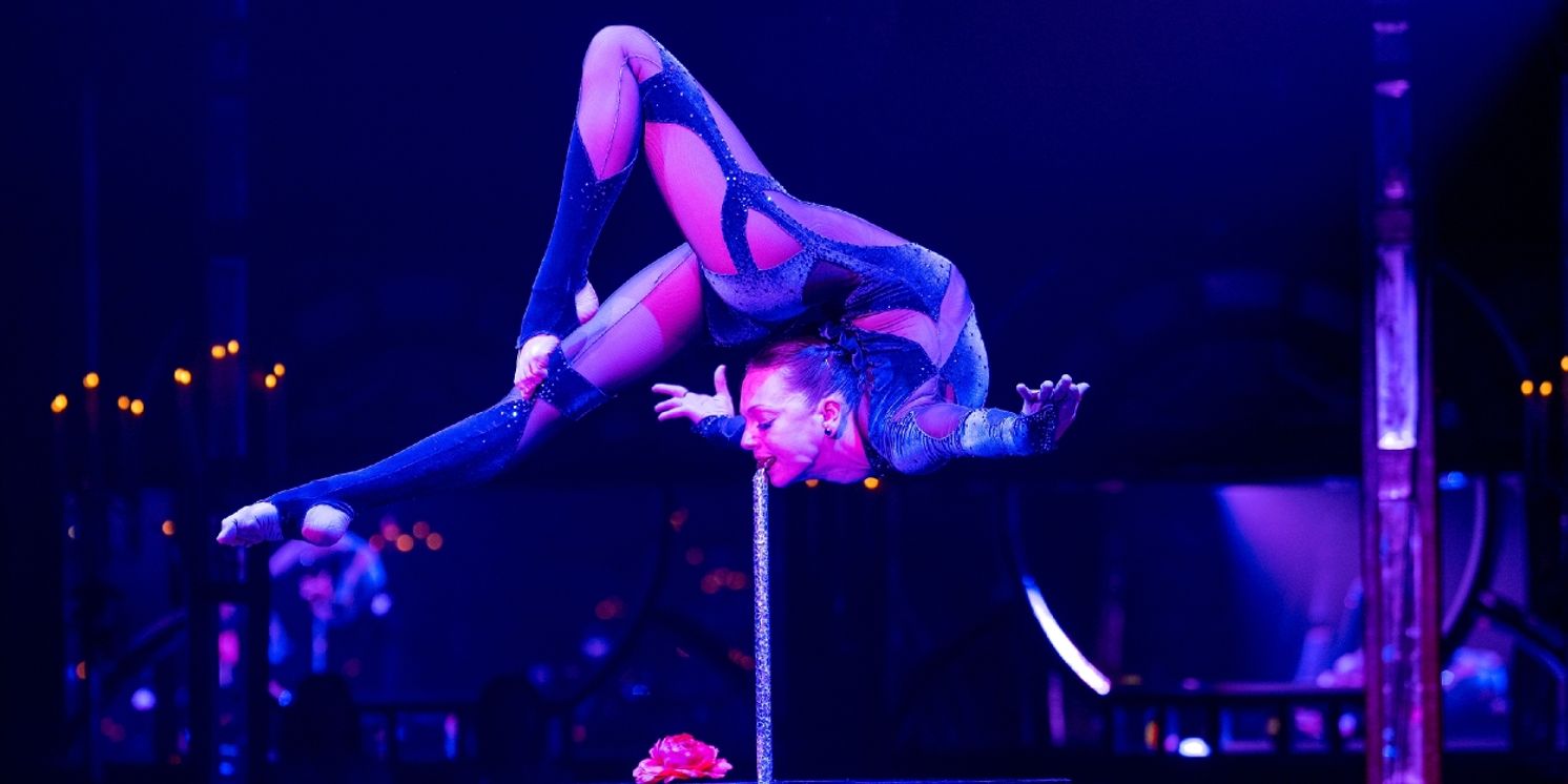 Review: TEATRO ZINZANNI at Cambria Hotel  Image