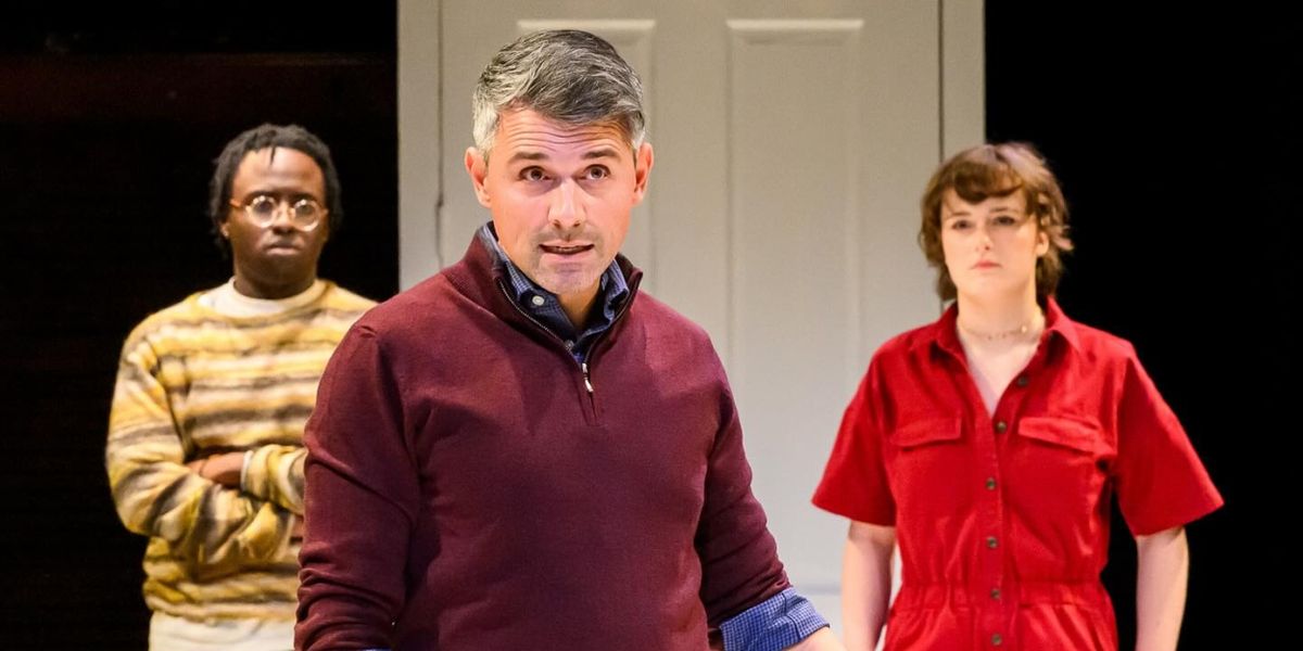 Review: THE ALLY at Mixed Blood Theater