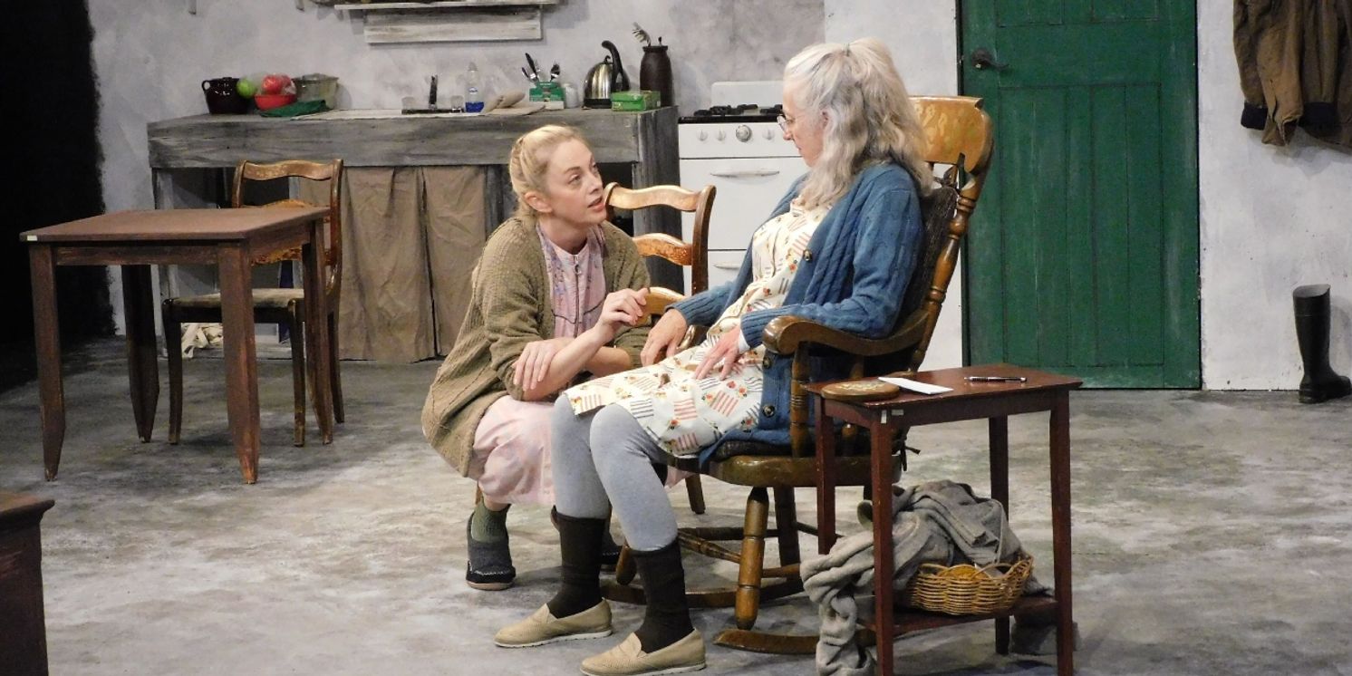 Review: THE BEAUTY QUEEN OF LEENANE is the Hit of the Season at Big Idea Theatre  Image