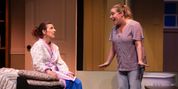 Review: THE BIRDS AND THE BEES at Ottawa Little Theatre Photo