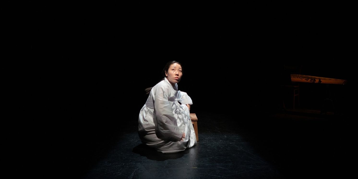 Review: THE COMFORT WOMAN, Omnibus Theatre  Image
