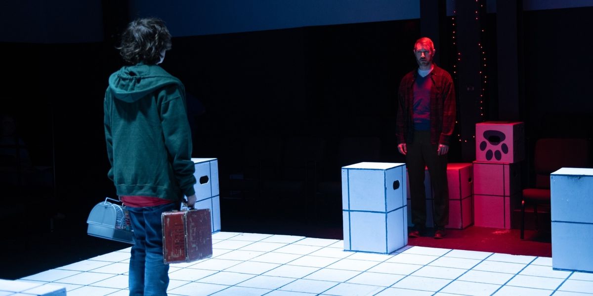 Review: THE CURIOUS INCIDENT OF THE DOG IN THE NIGHT-TIME at DreamWrights