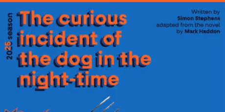 Review: THE CURIOUS INCIDENT OF THE DOG IN THE NIGHT-TIME at Stagecraft Photo
