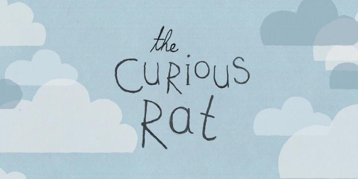 VIDEO: Behind the scenes of THE CURIOUS RAT at the Little Angel Studio