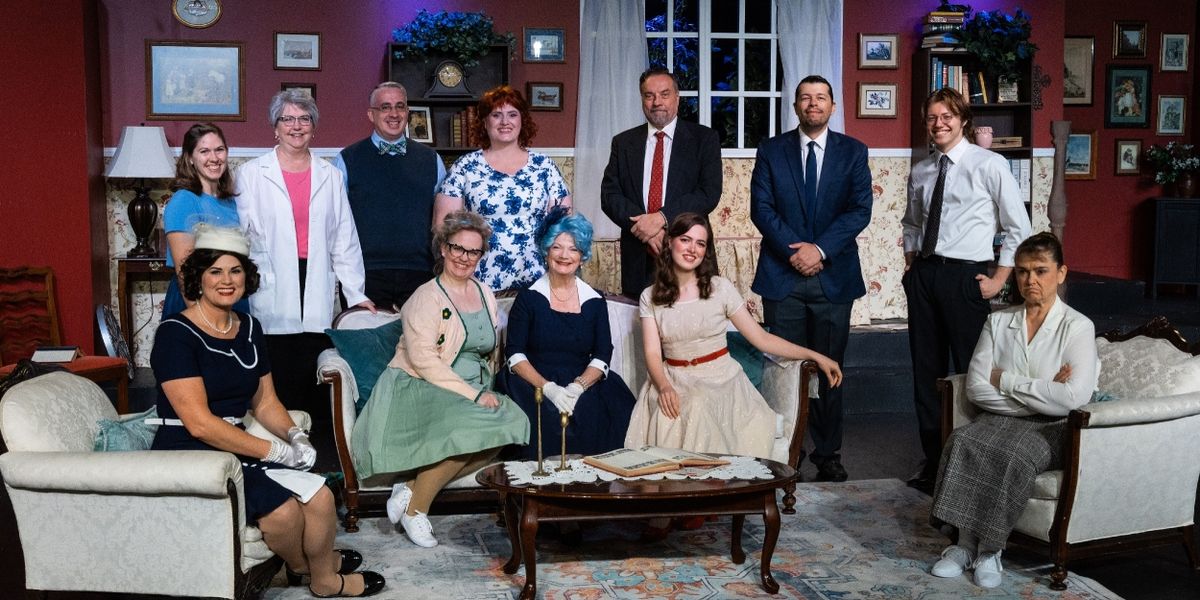 Review: THE CURIOUS SAVAGE at The Fusebox