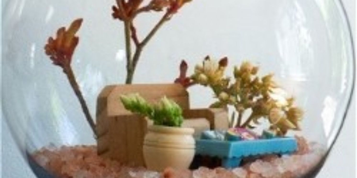 EDINBURGH 2023: Review: THE FISH BOWL, Summerhall  Image