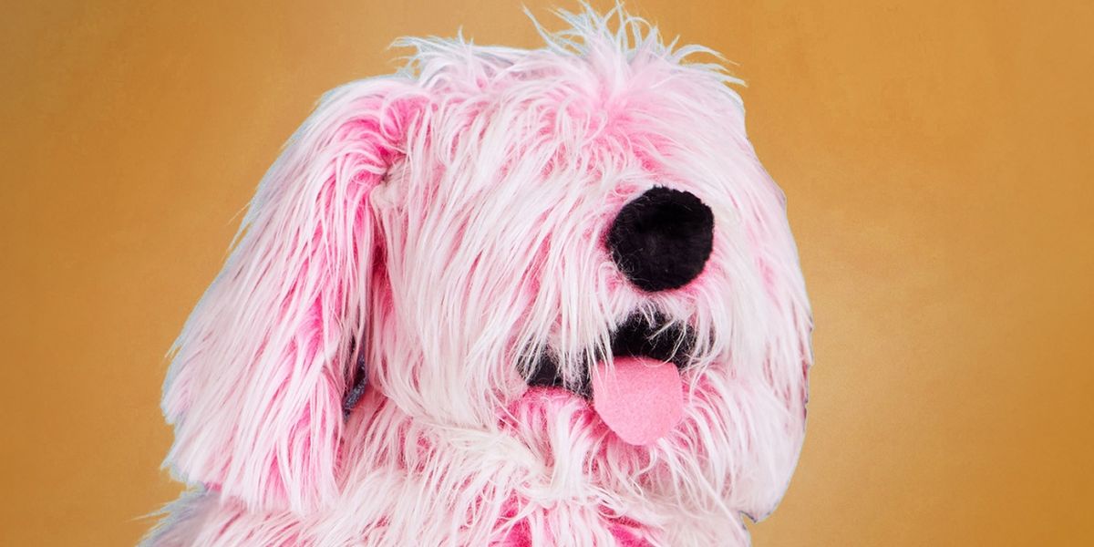 Review: THE LEGEND OF SLEEPY FLURFFY at Arkansas Museum Of Fine Arts