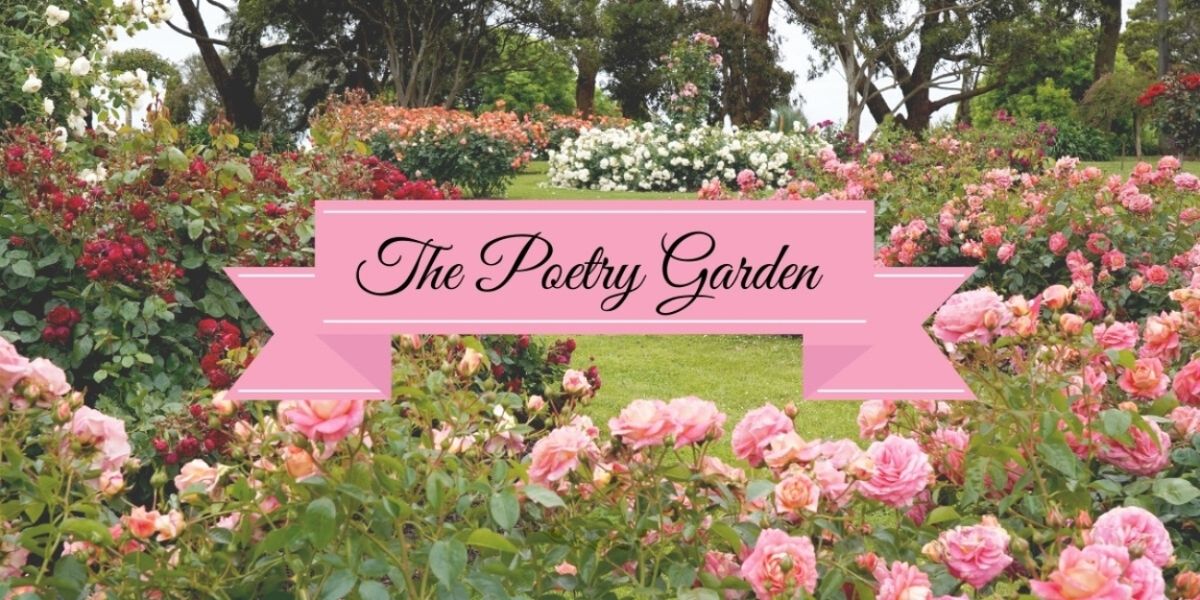 Review: THE POETRY GARDEN – ADELAIDE FRINGE 2025 at Courtyard At Treasury 1860