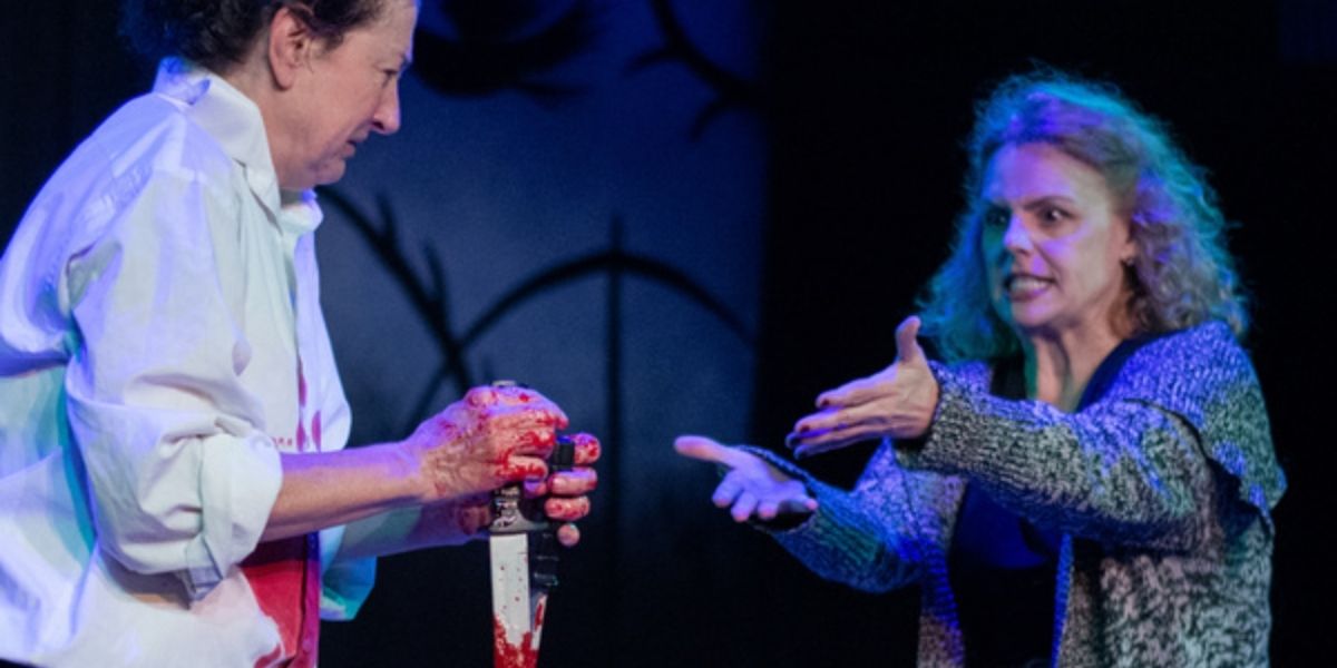 Review: THE TRAGEDIE OF MACBETH at Taffety Punk