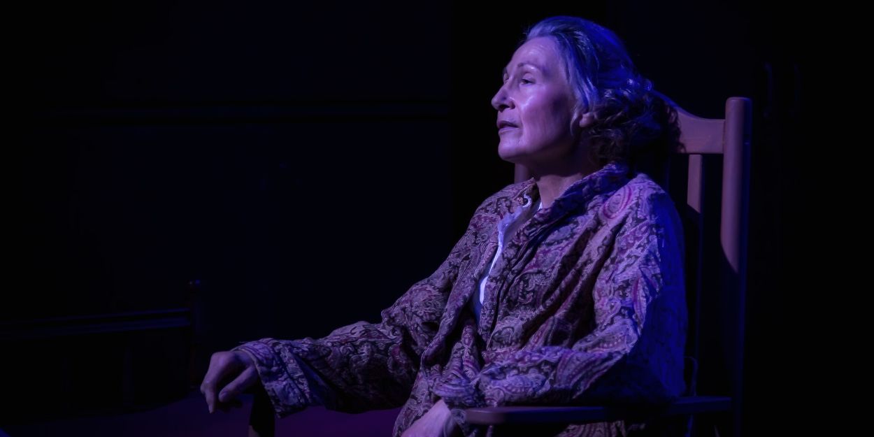 Review: THE TRIP TO BOUNTIFUL at Holden Street Theatres  Image