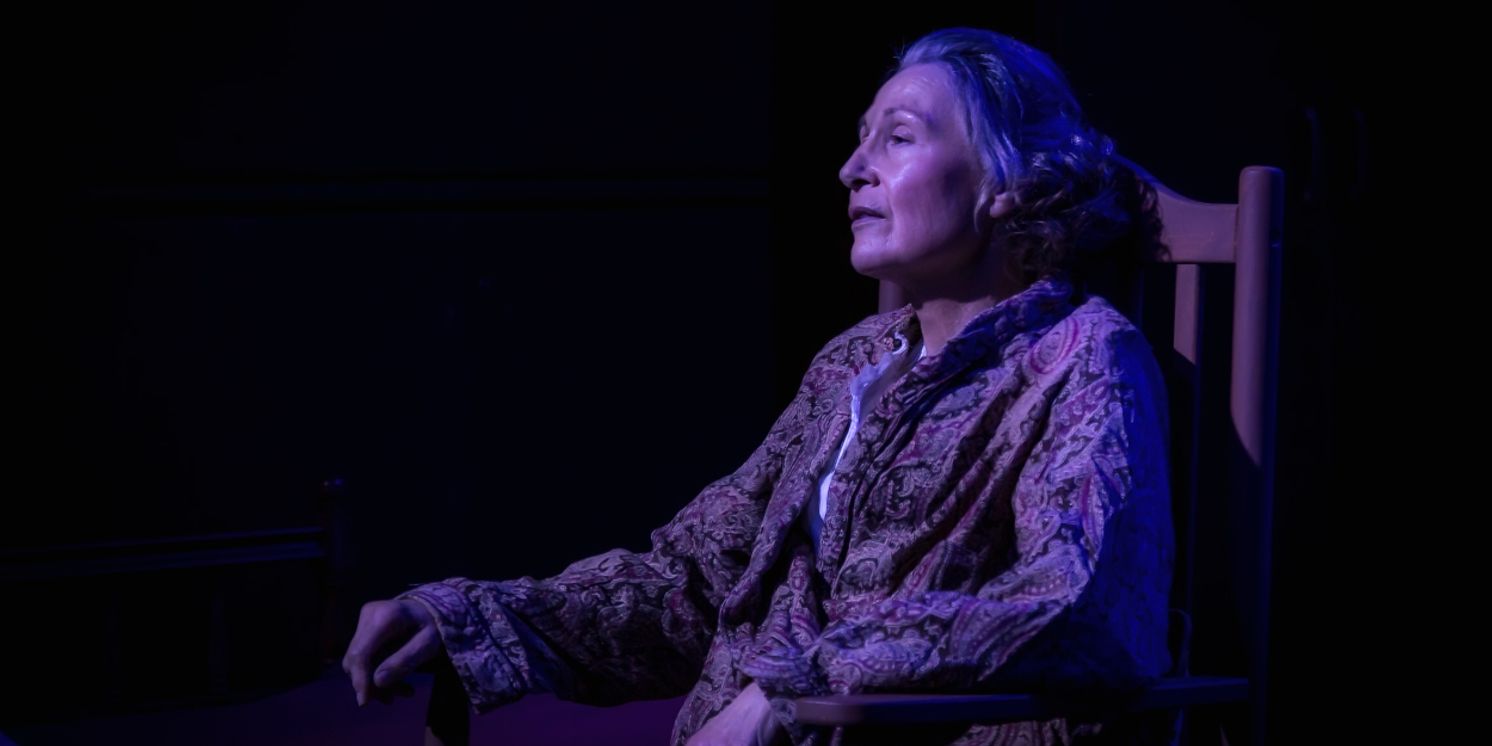 Review: THE TRIP TO BOUNTIFUL at Holden Street Theatres  Image