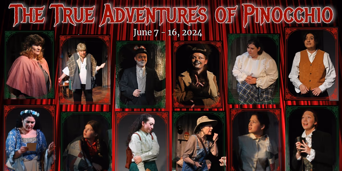 Review: THE TRUE ADVENTURES OF PINOCCHIO at Freefall Stage