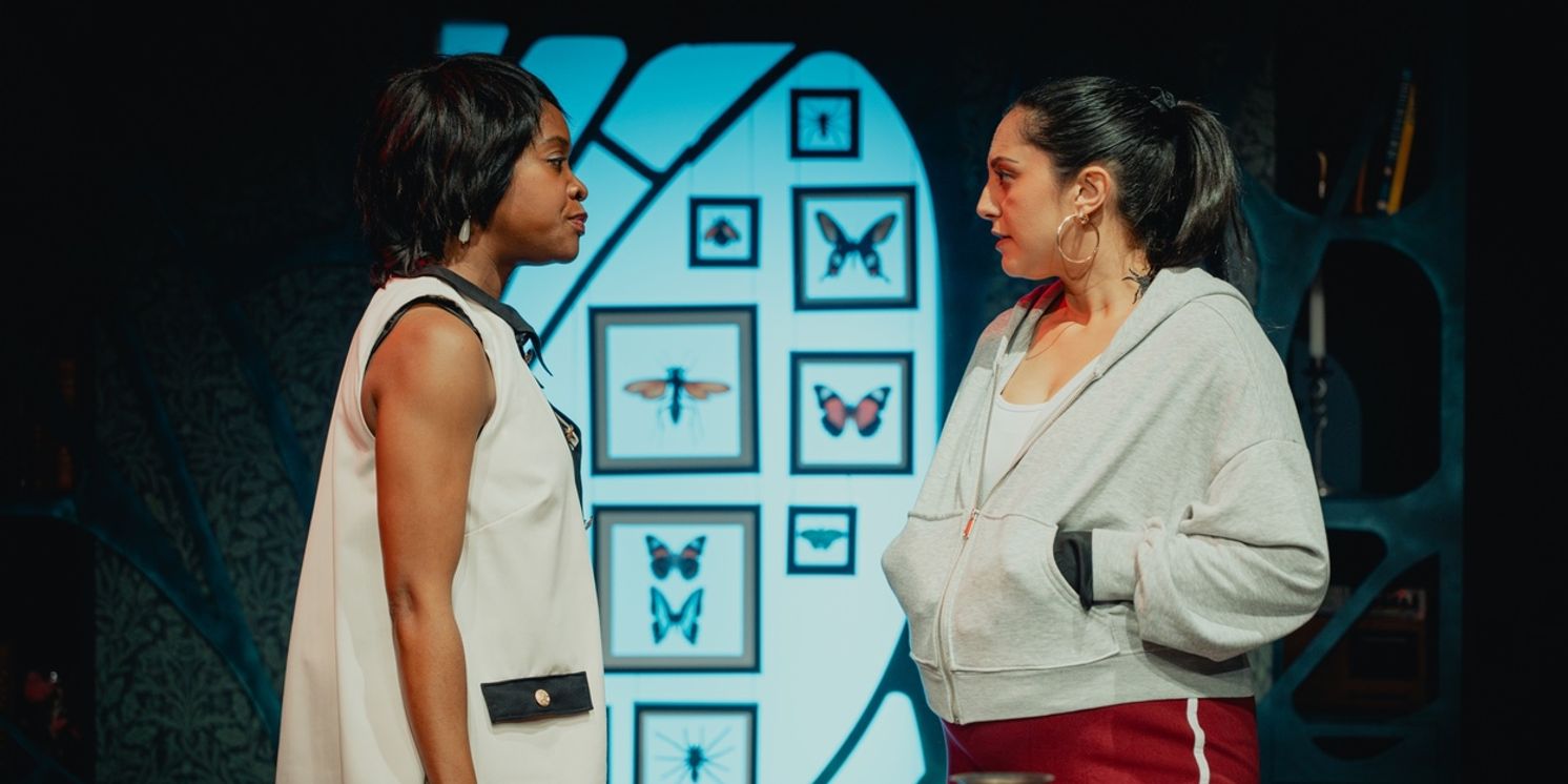 Review: THE WASP, Southwark Playhouse  Image