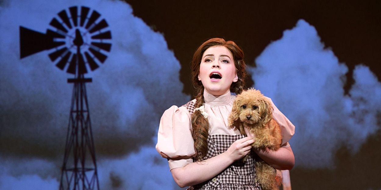 Review: THE WIZARD OF OZ at Beef & Boards Dinner Theatre  Image