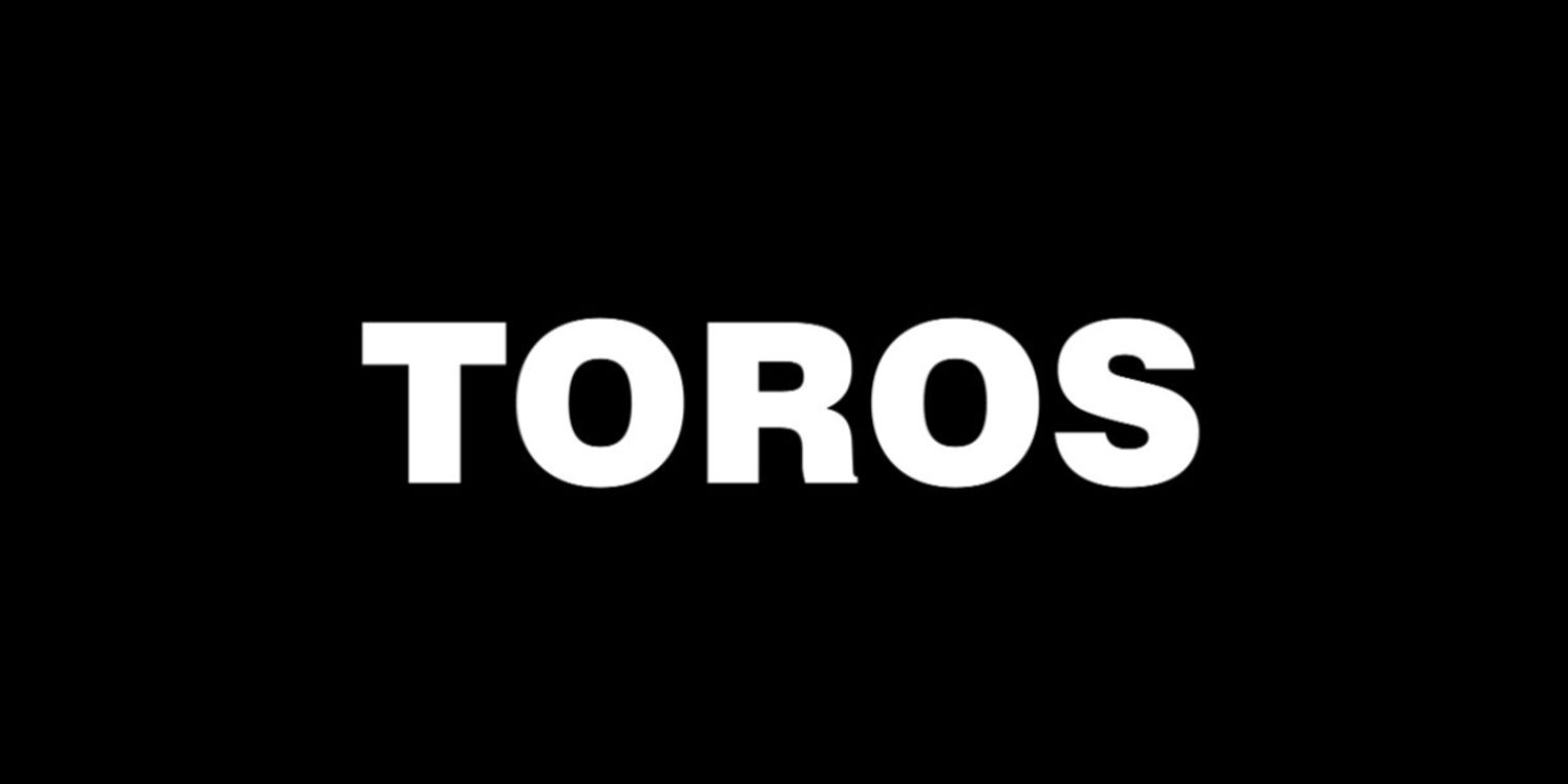 Review: TOROS at Rec Room Arts  Image