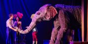 Review: WATER FOR ELEPHANTS at Ohio Theatre - A Spectacle in Search of a Soul Photo