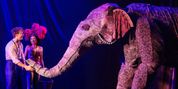 Review: WATER FOR ELEPHANTS at Shea’s Buffalo Theatre Photo