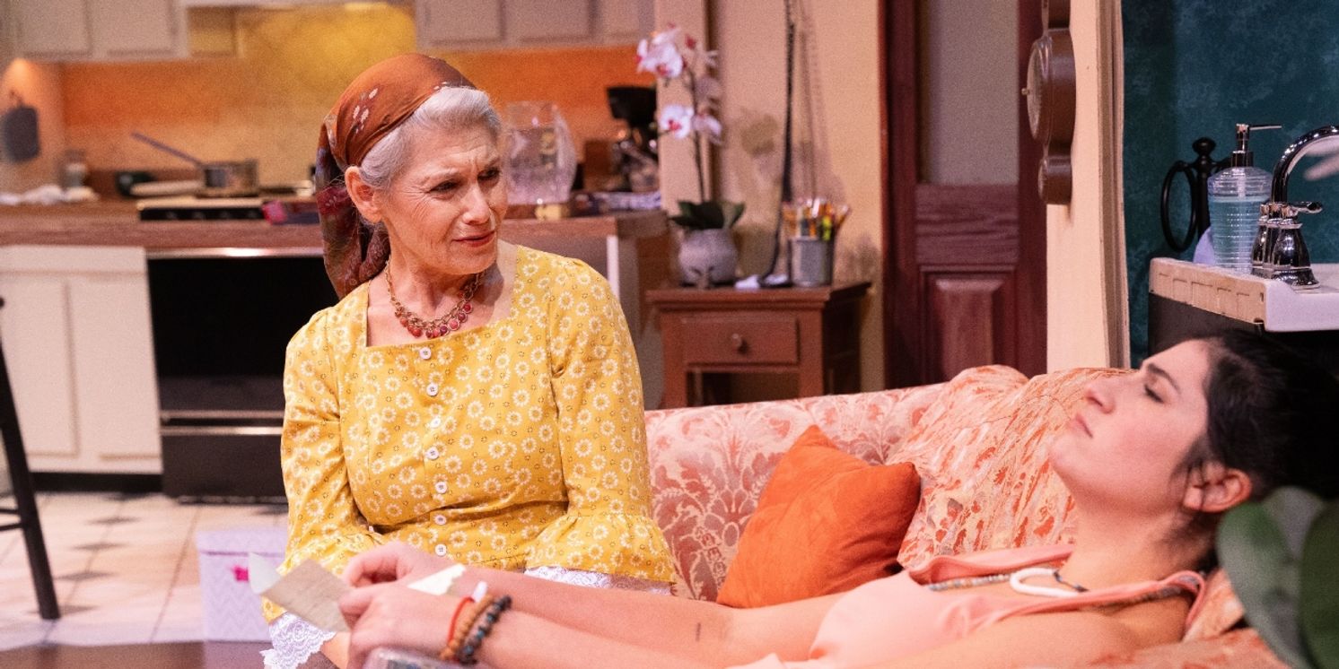 Review: WE ALL FALL DOWN at The New Jewish Theatre  Image