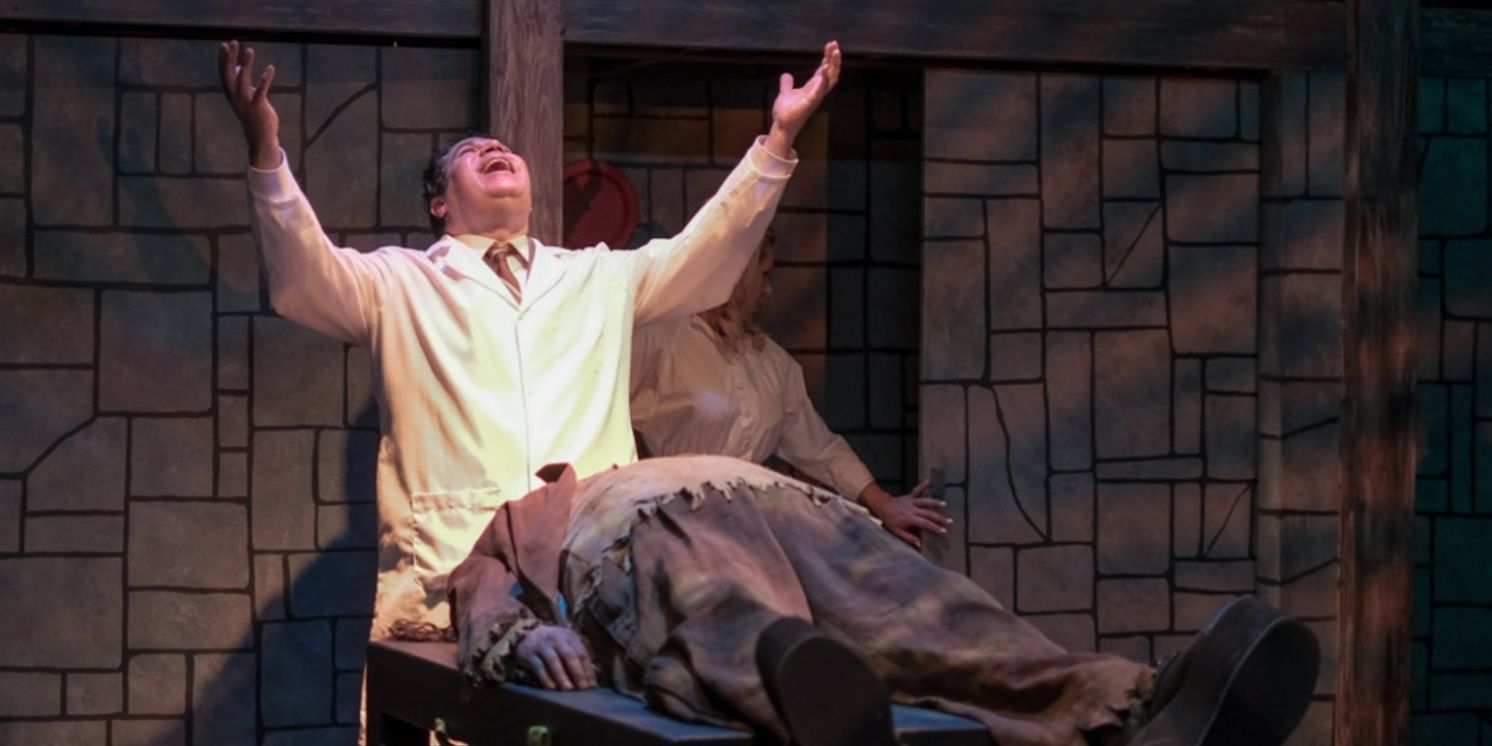 Review: YOUNG FRANKENSTEIN Is Monstrously Funny at Elmwood Playhouse  Image