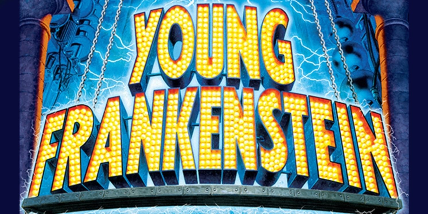 Review: 'If You're Blue and You Don't Know Where To Go To Why Don't You Go' to CMPAC's YOUNG FRANKENSTEIN  Image