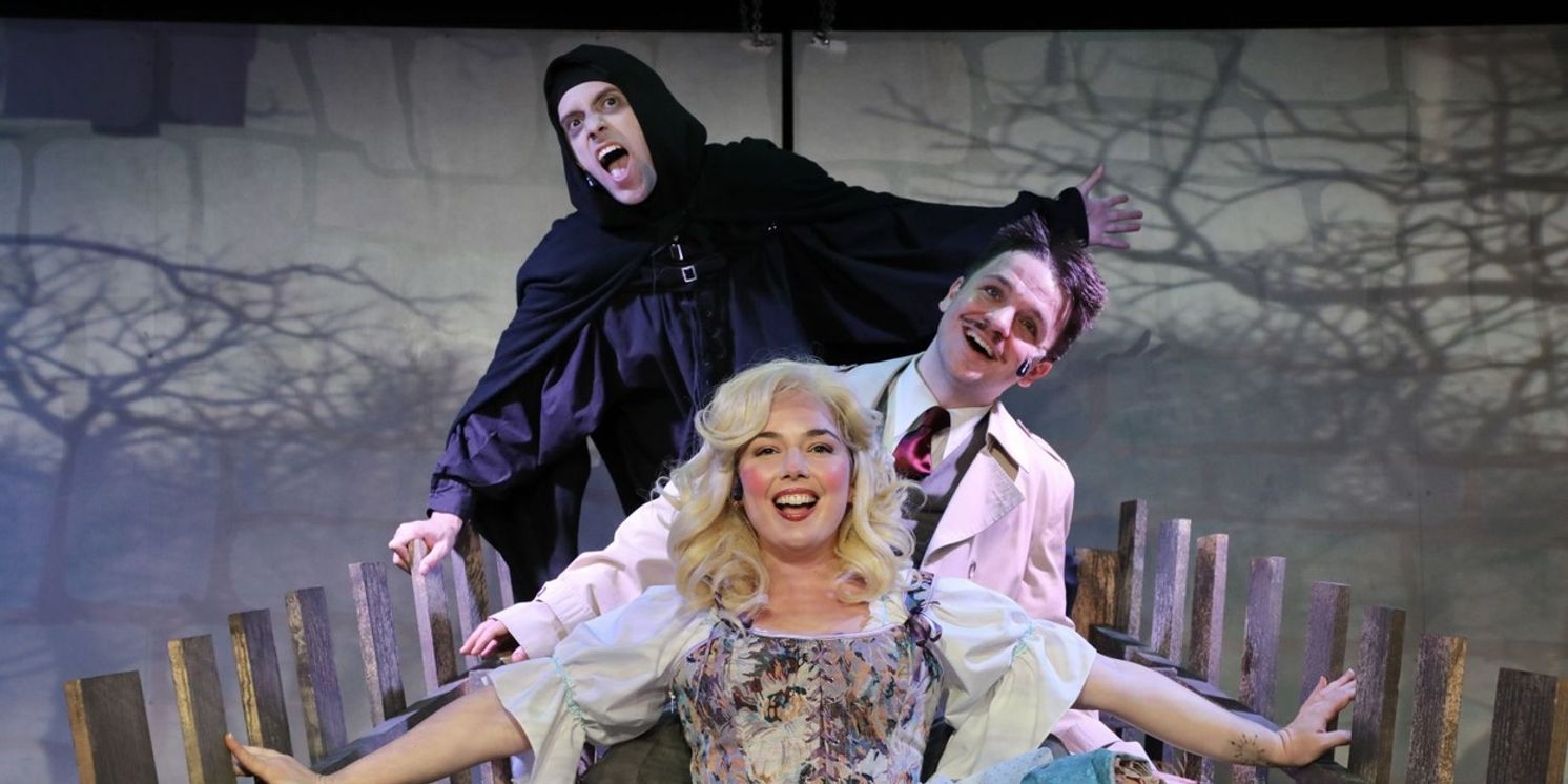 Review: MEL BROOKS' YOUNG FRANKENSTEIN at Murry's Dinner Playhouse in Little Rock  Image