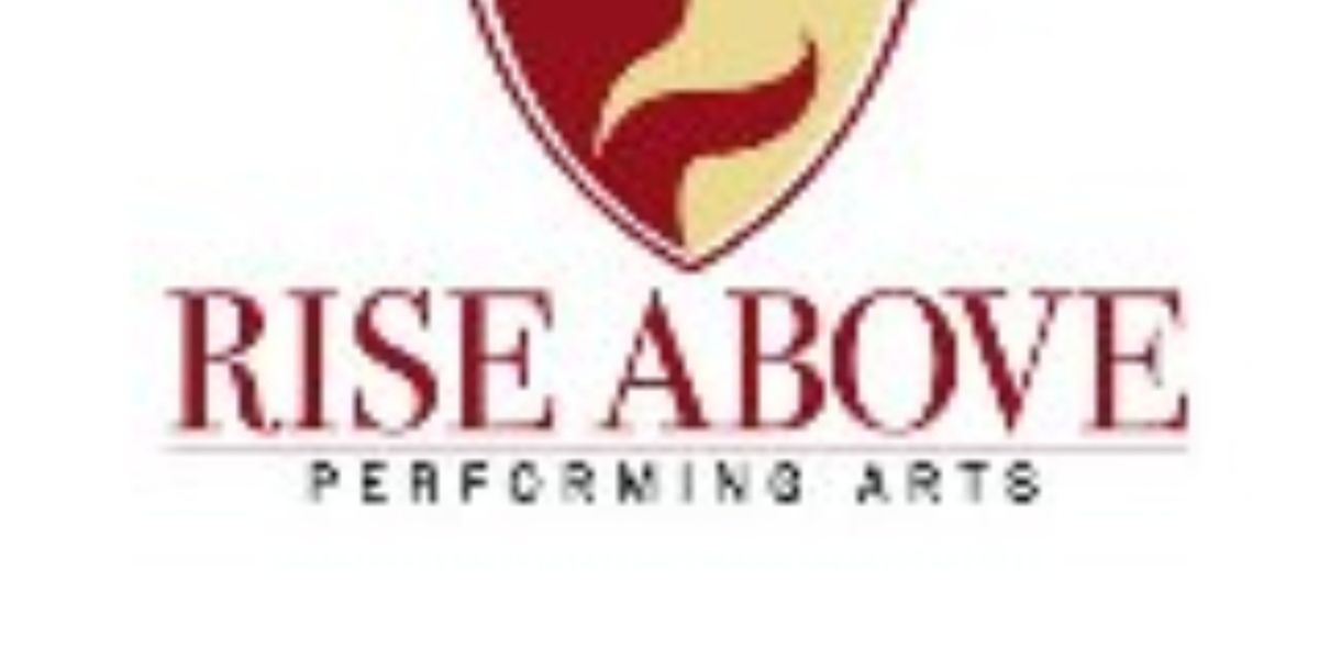 Rise Above Performing Arts Awarded $15,000 Grant from the Community Foundation of Sarasota County