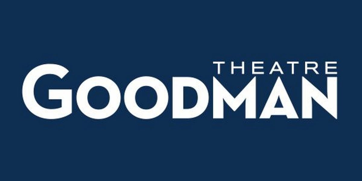 Roche Schulfer Will Step Down as Executive Director/CEO at the Goodman Theatre