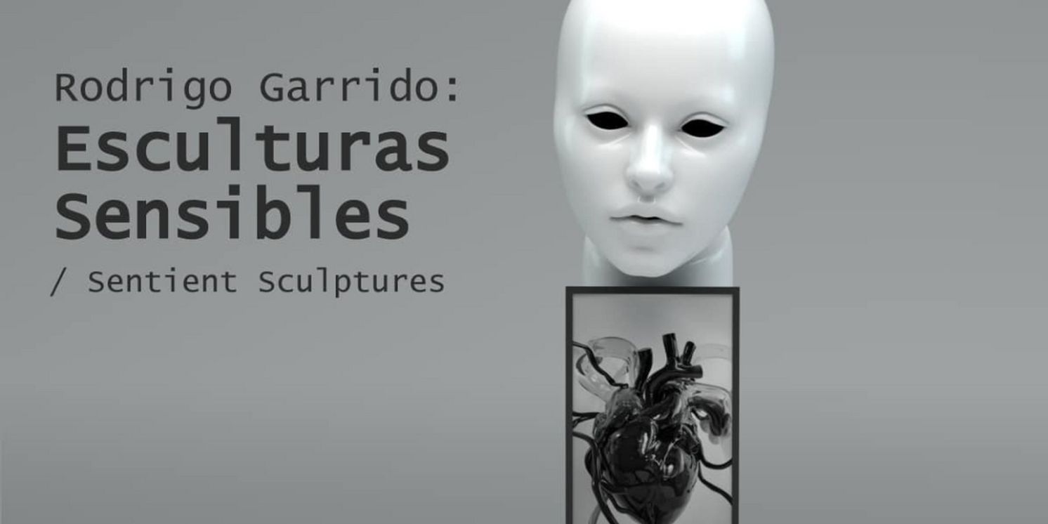 Rodrigo Garrido Impartirá Clase Máquinas Y Humanos, Sentires Autogenerados  Image