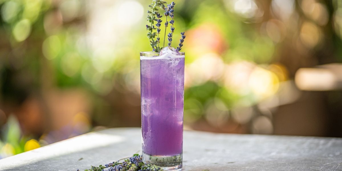 Rooftop Escape Gallow Green at The McKittrick Hotel Opens For The Season Next Week