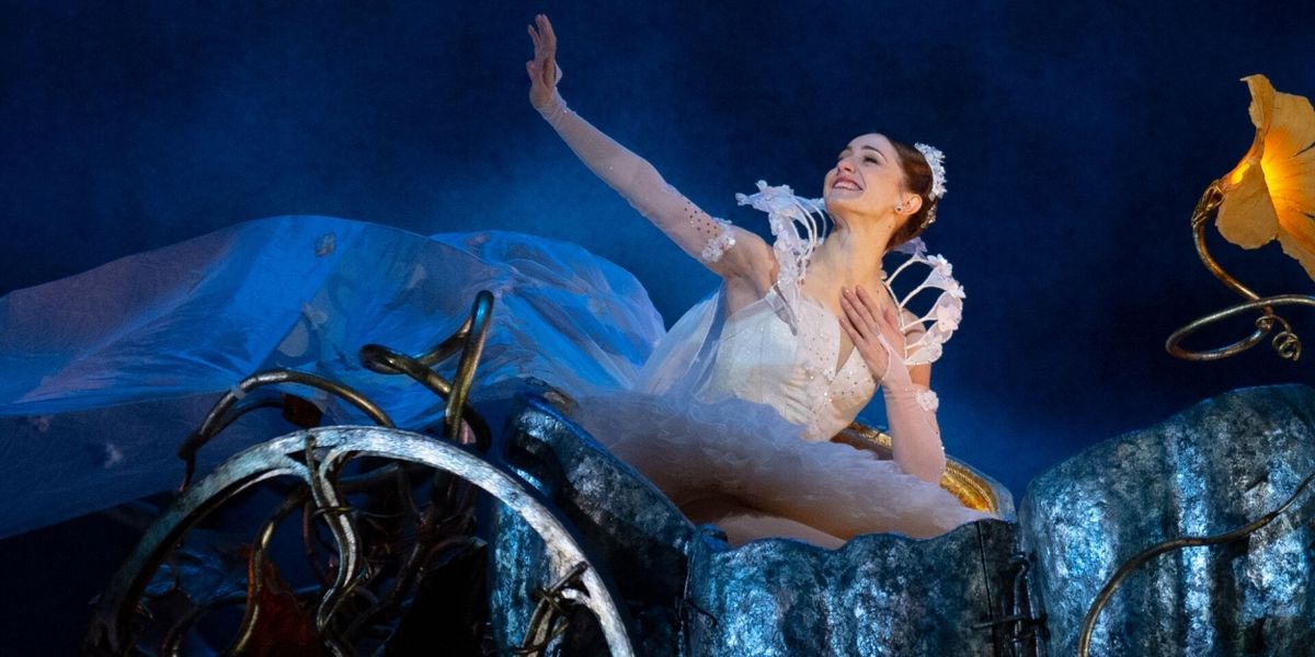 Royal Ballet and Opera Searches For First Principal Partner of The Royal Ballet