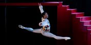SOUTH AFRICAN INTERNATIONAL BALLET COMPETITION to Feature Star-Studded International Jury  Photo
