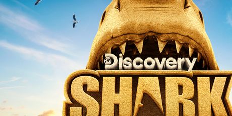 SHARK WEEK Delivers Discovery Channel's Best Ratings in Seven Years Photo