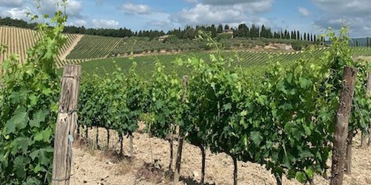 SILK & SPICE and CASA FERREIRINHA Portuguese Blends for National Red Wine Day on 8/28