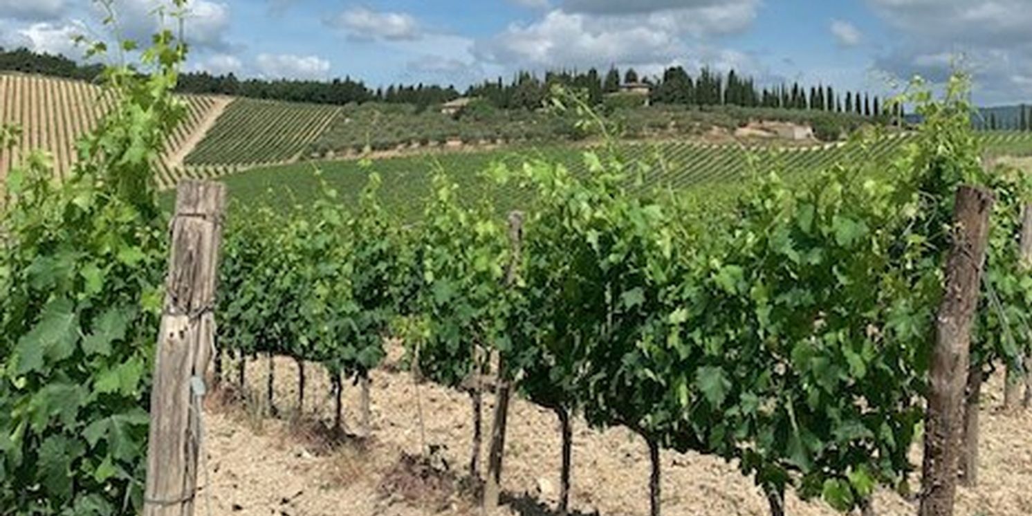 SILK & SPICE and CASA FERREIRINHA Portuguese Blends for National Red Wine Day on 8/28  Image