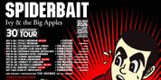 SPIDERBAIT to Kick Off IVY & THE BIG APPLES 30th Anniversary Tour with Local Openers Photo