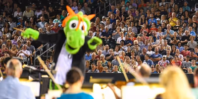 STARS AND STRIPES SPECTACULAR To Be Presented By Charlotte Symphony Orchestra And Charlott Photo